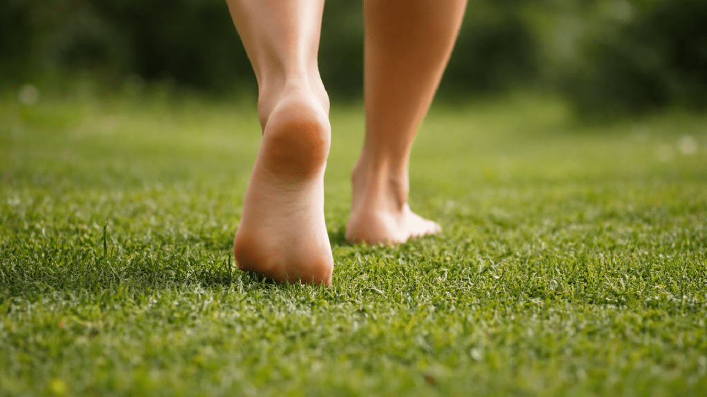 Your Guide to Holistic Wellness: Step by&nbsp;Step