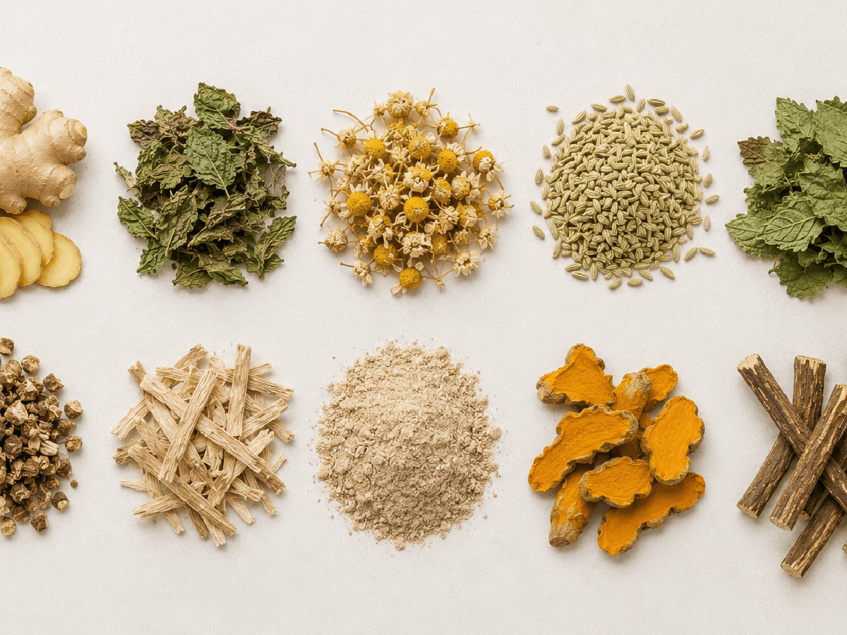 10 Herbs Traditionally Used for Healthy&nbsp;Digestion