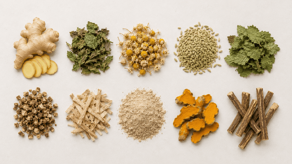 10 Herbs Traditionally Used for Healthy&nbsp;Digestion